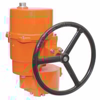Thumbnail of Image