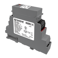 Thumbnail of R I B R L1 C